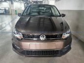 Bán gấp chiếc Volkswagen Polo Hatchback năm sản xuất 2020,  xe nhập