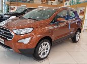 Bán Ford EcoSport năm sản xuất 2021, màu nâu