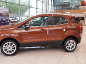 Bán Ford EcoSport năm sản xuất 2021, màu nâu