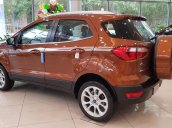 Bán Ford EcoSport năm sản xuất 2021, màu nâu