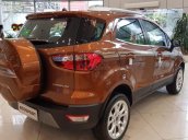 Bán Ford EcoSport năm sản xuất 2021, màu nâu