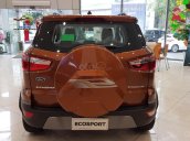 Bán Ford EcoSport năm sản xuất 2021, màu nâu