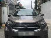 Bán Ford EcoSport Titanium 1.5AT năm sản xuất 2019, màu xám  