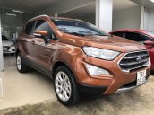 Cần bán Ford EcoSport năm 2019, màu nâu còn mới 