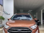 Cần bán Ford EcoSport năm 2019, màu nâu còn mới 