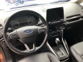 Cần bán Ford EcoSport năm 2019, màu nâu còn mới 