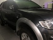 Cần bán xe Mitsubishi Triton năm 2010, nhập khẩu nguyên chiếc còn mới giá cạnh tranh