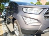 Ford EcoSport 2020 Titanium 1.5AT, đủ màu lựa chọn - nhiều quà tặng khi liên hệ, hỗ trợ trả góp tối đa