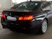 Bán ô tô BMW 5 Series Series 520i sản xuất 2014, màu đen, nhập khẩu  