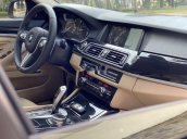 Bán ô tô BMW 5 Series Series 520i sản xuất 2014, màu đen, nhập khẩu  