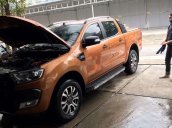 Cần bán gấp Ford Ranger 3.2 2016, màu nâu, nhập khẩu còn mới  