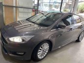 Cần bán lại xe Ford Focus năm sản xuất 2016, màu nâu giá cạnh tranh