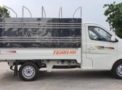 Bán xe tải Tera 990kg với các mẫu thùng mui bạt thùng kín, thùng lửng và thùng cánh rơi tại Hải Phòng và Quảng Ninh