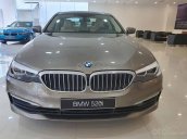 Cần bán BMW 5 Series 520i năm sản xuất 2019, nhập khẩu