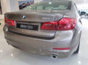 Cần bán BMW 5 Series 520i năm sản xuất 2019, nhập khẩu