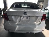 Bán Volkswagen Polo sản xuất năm 2019, nhập khẩu, số tự động