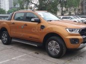 Bán xe Ford Ranger Windtrak 2.0L AT 4x4 và các dòng XL, XLS, XLT (MT, AT, 4x2,4x4)1và 2 cầu, giá giảm sâu, sẵn giao ngay