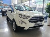 EcoSport Titanium New 2020 giảm giá kịch kim, tặng 100% lệ phí trước bạ, tặng thêm combo quà cực chất