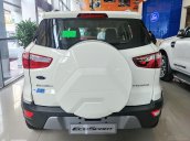 EcoSport Titanium New 2020 giảm giá kịch kim, tặng 100% lệ phí trước bạ, tặng thêm combo quà cực chất