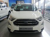 EcoSport Titanium New 2020 giảm giá kịch kim, tặng 100% lệ phí trước bạ, tặng thêm combo quà cực chất