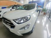 EcoSport Titanium New 2020 giảm giá kịch kim, tặng 100% lệ phí trước bạ, tặng thêm combo quà cực chất