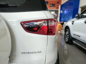 EcoSport Titanium New 2020 giảm giá kịch kim, tặng 100% lệ phí trước bạ, tặng thêm combo quà cực chất