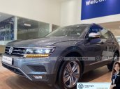 Xe Tiguan Luxury S 2020: Giá bán + Khuyến mãi tốt nhất - Đủ màu giao ngay - Lái thử xe tận nhà - Giao xe toàn quốc