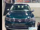  Khuyến mãi đặc biệt xe Tiguan Luxury màu xanh rêu màu độc hiếm có - Giao ngay 