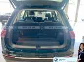  Khuyến mãi đặc biệt xe Tiguan Luxury màu xanh rêu màu độc hiếm có - Giao ngay 