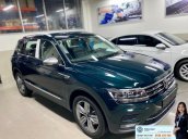  Khuyến mãi đặc biệt xe Tiguan Luxury màu xanh rêu màu độc hiếm có - Giao ngay 