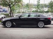 Cần bán xe BMW 5 Series 530i Luxury Line năm sản xuất 2019, màu đen, xe nhập