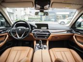 Cần bán xe BMW 5 Series 530i Luxury Line năm sản xuất 2019, màu đen, xe nhập