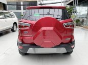 Bán xe Ford Ecosport AT 1.5 Titanium 2019 cực đẹp