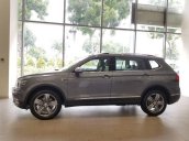 Bán Volkswagen Tiguan Luxury năm 2020, màu xám, nhập khẩu