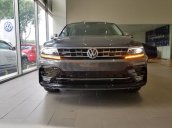 Bán Volkswagen Tiguan Luxury năm 2020, màu xám, nhập khẩu