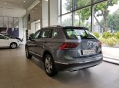 Bán Volkswagen Tiguan Luxury năm 2020, màu xám, nhập khẩu