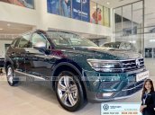 Tiguan Luxury màu xanh rêu - Độc - Lạ - Hiếm có - Giá tốt giao ngay