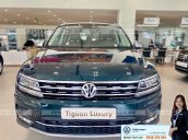 Tiguan Luxury màu xanh rêu - Độc - Lạ - Hiếm có - Giá tốt giao ngay