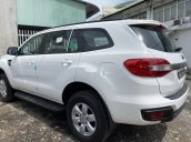 Bán ô tô Ford Everest năm 2019, nhập khẩu nguyên chiếc, 300tr