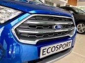 [Ưu đãi giảm 100% trước bạ] Ford Ecosport Titanium AT 2020, hỗ trợ trả góp lên đến 80% với lãi suất ưu đãi