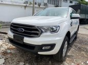 Bán ô tô Ford Everest năm 2019, nhập khẩu nguyên chiếc, 300tr