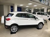 Ford Ecosport bản 1.0L Titanium 2020 mới đủ màu sắc để quý khách lựa chọn