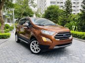 Bán xe Ford EcoSport bản đặc biệt 1.0 turbo