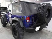 Bán Jeep Wrangler 3.8 sản xuất 2008, màu xanh lam, nhập khẩu còn mới