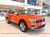 Tiguan Luxury, màu cam độc lạ, nổi bật, đẹp mắt - ưu đãi phí trước bạ và bộ phụ kiện chính hãng đặc biệt - LH Ms Uyên