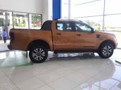 Bán Ford Ranger Wildtrak 2.0L 4x2 AT sản xuất 2019, nhập khẩu, 800 triệu