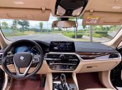 Cần bán lại xe BMW 5 Series 530i năm 2019, màu nâu, nhập khẩu