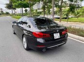 Cần bán lại xe BMW 5 Series 530i năm 2019, màu nâu, nhập khẩu