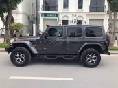 Cần bán Jeep Wrangler sản xuất năm 2020, màu đen, nhập khẩu nguyên chiếc