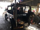 Cần bán lại xe Jeep Wrangler đời 1996, hai màu, nhập khẩu nguyên chiếc chính chủ, 310tr